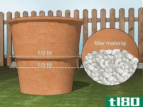 Image titled Fill a Tall Planter Step 9