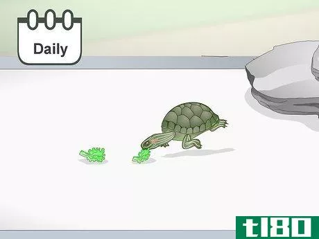 Image titled Feed a Red‐Eared Slider Turtle Step 9