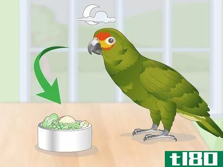 Image titled Feed an Amazon Parrot Step 10