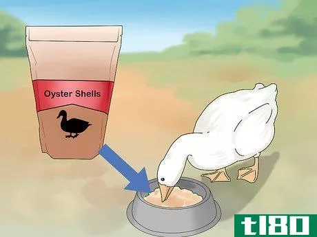 Image titled Feed Ducks Step 5