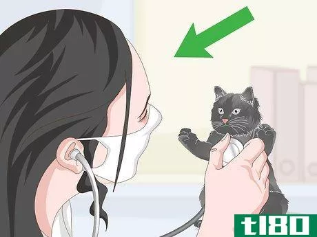 Image titled Eliminate Roundworms in Cats Step 4