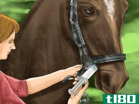 Image titled Diagnose Parasites in Horses Step 9