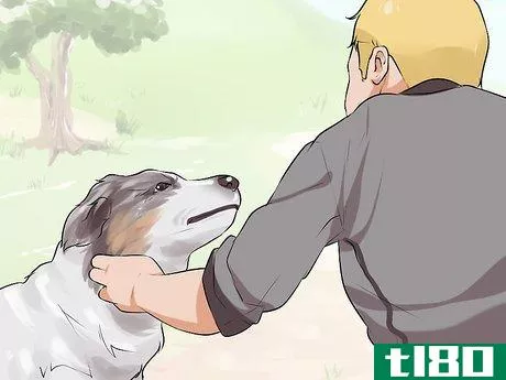 Image titled Do Short Training Sessions with Your Hunting Dog Step 1