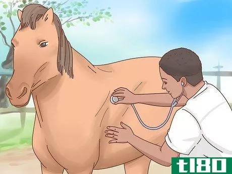 Image titled Fatten up a Horse Step 1