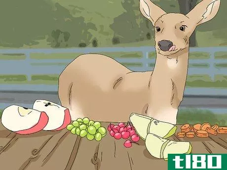 Image titled Feed Deer Step 3