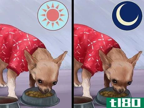 Image titled Feed Picky Chihuahuas Step 4
