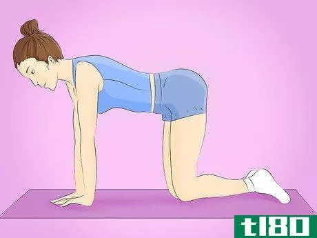 Image titled Do the Bird Dog Exercise Step 1