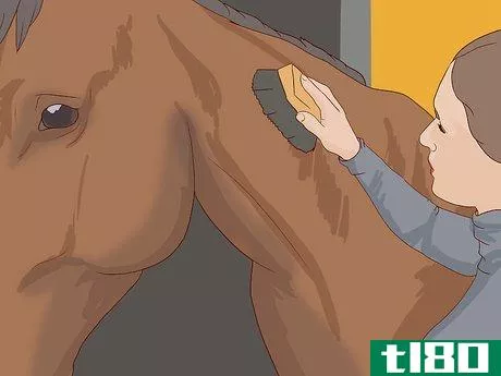 Image titled Diagnose Cushing's Disease in Horses Step 14
