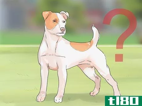 Image titled Dog‐Sit when You Have a Small Pet Step 9