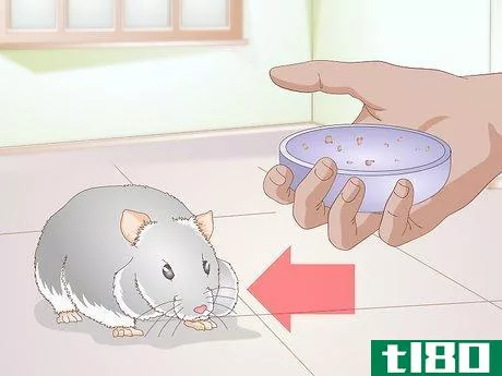 Image titled Diagnose Hamster Dental Problems Step 2