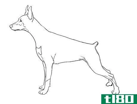 Image titled Draw a Realistic Dog Step 4