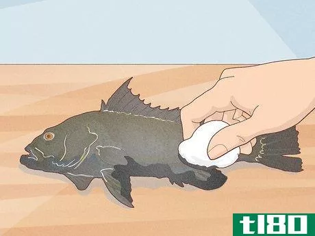 Image titled Do Gyotaku Fish Rubbing Step 6