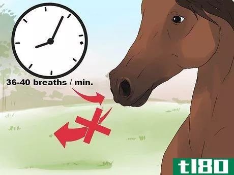 Image titled Diagnose Heaves in Horses Step 1