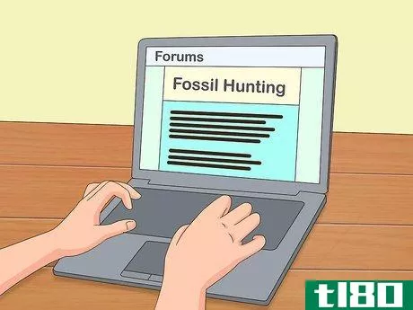 Image titled Dig for Fossils Step 5