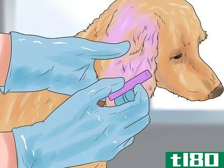 Image titled Dye Your Pet Step 11