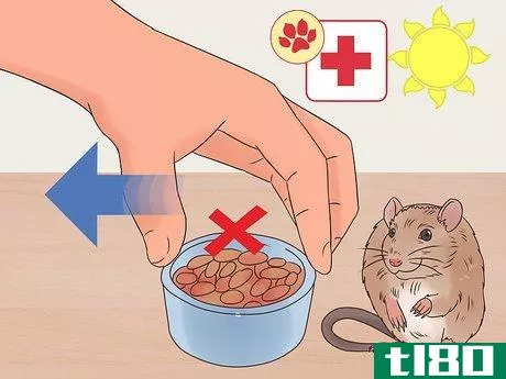 Image titled Desex a Pet Rat Step 3