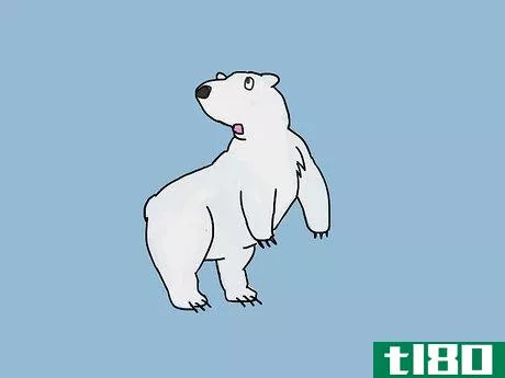 如何画一只北极熊(draw a polar bear)