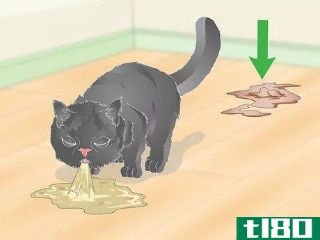Image titled Eliminate Roundworms in Cats Step 2