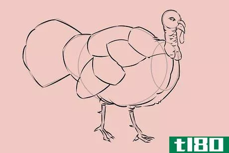Image titled Draw a Turkey Step 20