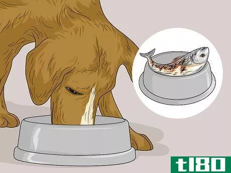 Image titled Feed a Sick Dog Step 5