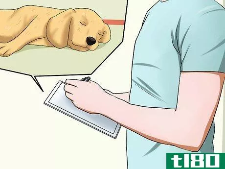 Image titled Diagnose Epilepsy in Beagles Step 4