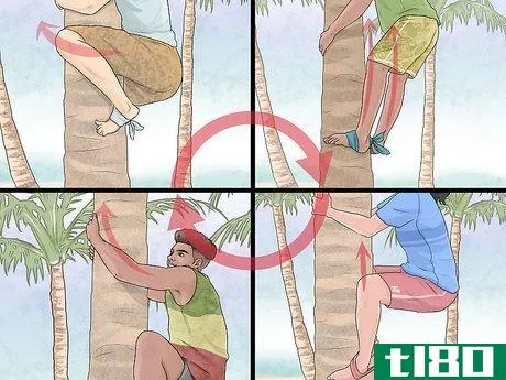 Image titled Free Climb a Tree Step 22
