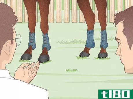 Image titled Fit a Horse for Support Boots Step 12