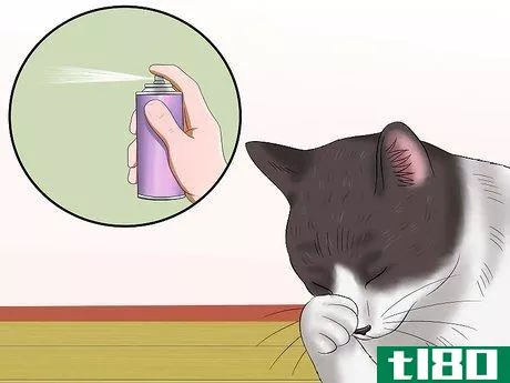 Image titled Diagnose Conjunctivitis in Cats Step 2