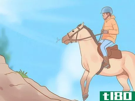 Image titled Find out Why a Horse Is Crow Hopping Step 9