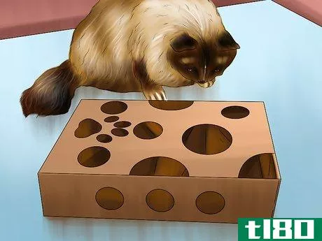 Image titled Feed a Cat Using Food Puzzles Step 8