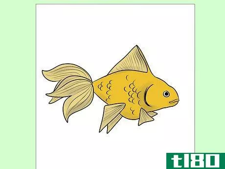 Image titled Draw Goldfish Step 9