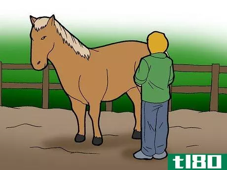 Image titled Exercise a Fat Pony to Help Weight Loss Step 6