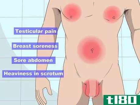 Image titled Diagnose Testicular Cancer Step 5
