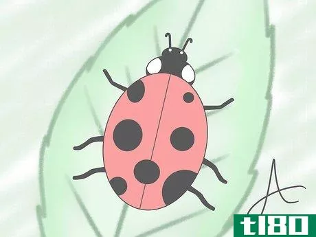 Image titled Draw a Ladybird Step 8