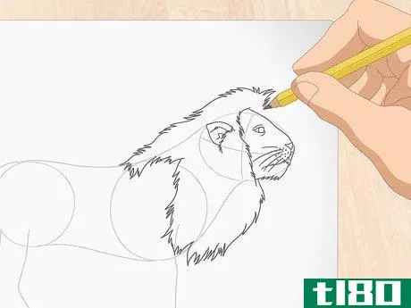 Image titled Draw a Lion Step 8