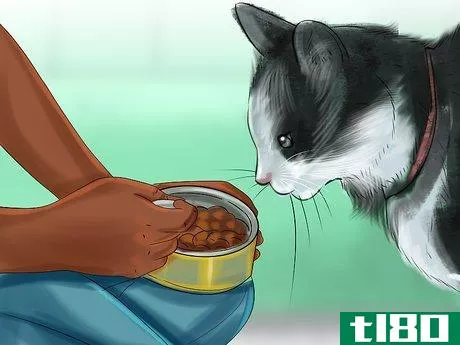 Image titled Encourage Your Cat to Eat Step 12