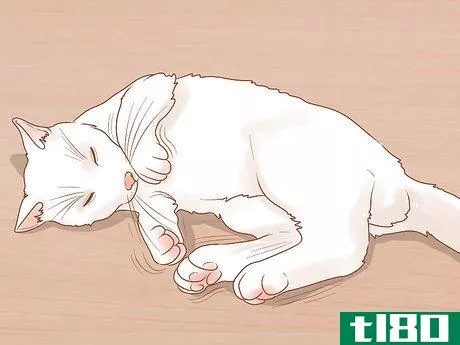 Image titled Diagnose and Treat Pyrethrin Poisoning in Cats Step 3