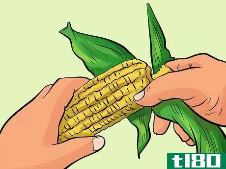 如何吃玉米棒子(eat corn on the cob)