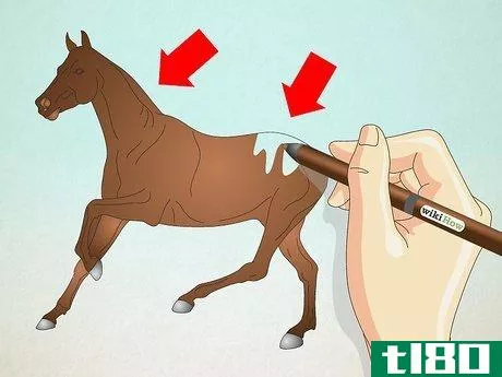 Image titled Draw a Realistic Looking Horse Step 5