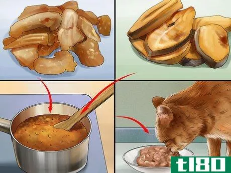Image titled Feed a Pregnant or Nursing Cat Step 1