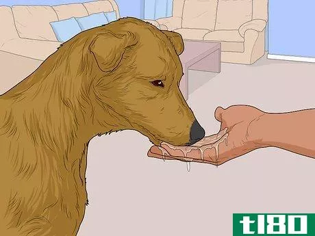 Image titled Feed a Sick Dog Step 19