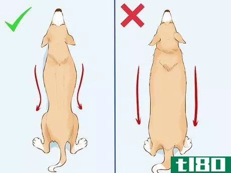 Image titled Determine if Your Dog Is Overweight Step 3