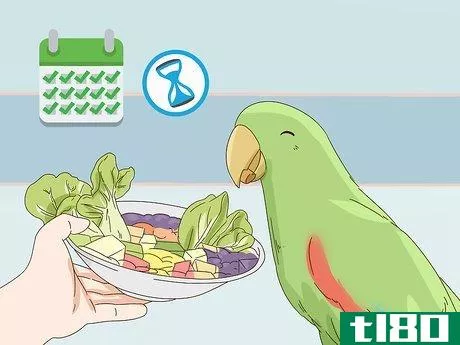 Image titled Feed an Eclectus Step 10