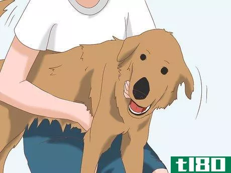 Image titled Remove Ticks from Furry Pets Step 3