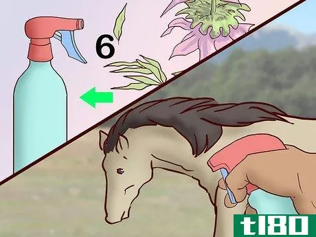 Image titled Feed a Horse a Mint Step 11