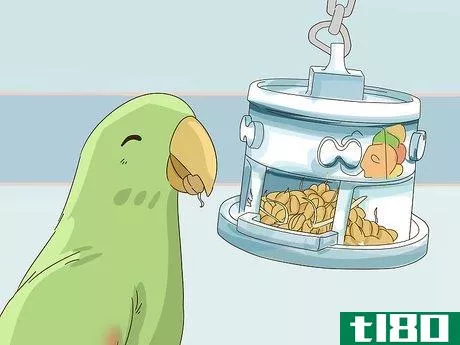 Image titled Feed an Eclectus Step 11