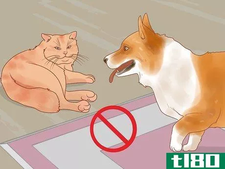 Image titled Diagnose and Treat Pyrethrin Poisoning in Cats Step 10