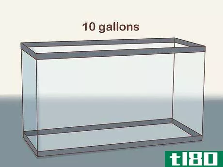 Image titled Find Compatible Tank Mates for Guppies Step 1
