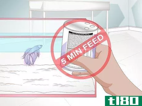 Image titled Feed a Betta Fish Step 11