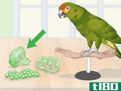 Image titled Feed an Amazon Parrot Step 2
